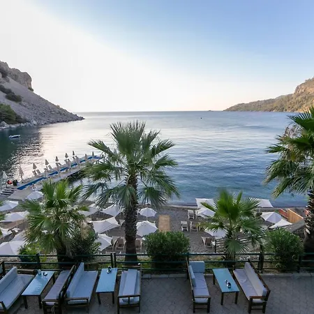 Mavi Deniz Turunc