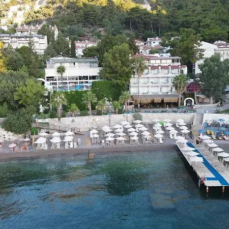Mavi Deniz Turunc