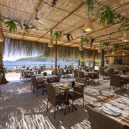 酒店 Mavi Deniz 4*