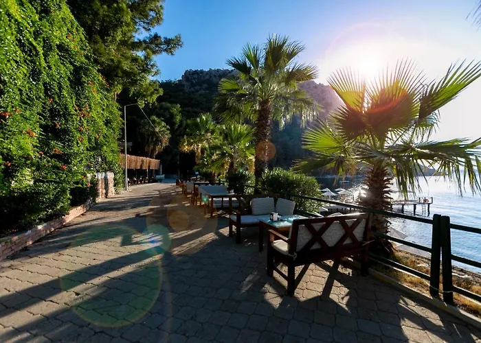 Mavi Deniz 3* Turunc